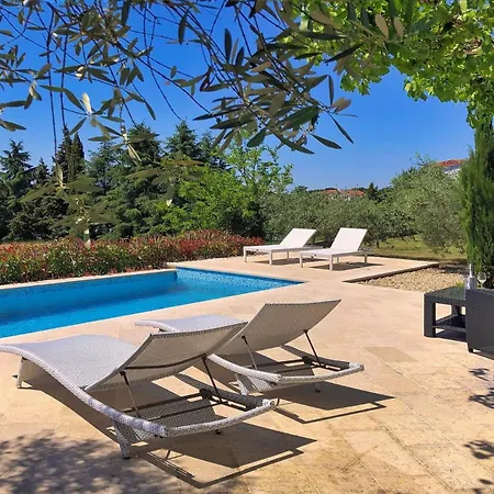 Tatil Evi Auri Kukci