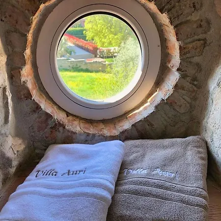 Tatil Evi Auri
